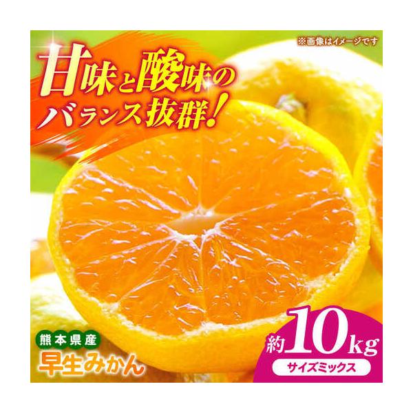 【先行予約】 早生みかん 2S-2L 約10kg みかん 蜜柑 柑橘 フルーツ 果物 【日本フルーツ株式会社】【ZFJ058】 熊本県山鹿市