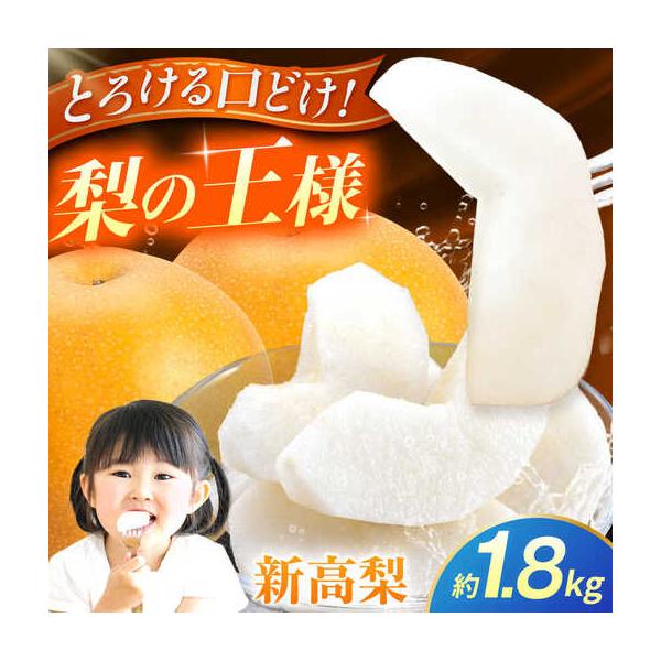 【先行予約】新高梨 約1.8kg 梨 ナシ フルーツ 果物 【日本フルーツ株式会社】【ZFJ063】 熊本県山鹿市