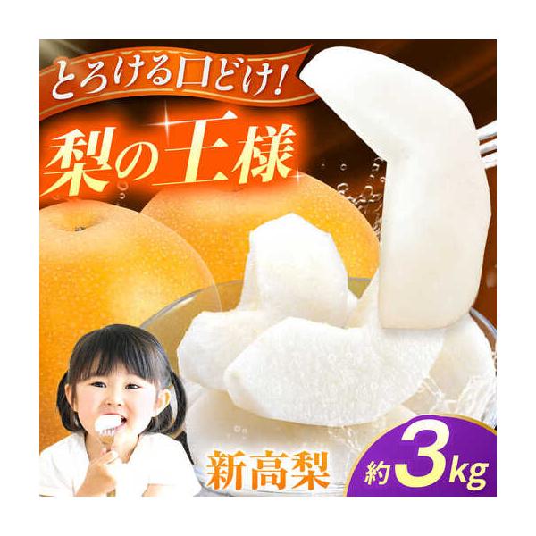 【先行予約】新高梨 約3kg 梨 ナシ フルーツ 果物 【日本フルーツ株式会社】【ZFJ064】 熊本県山鹿市