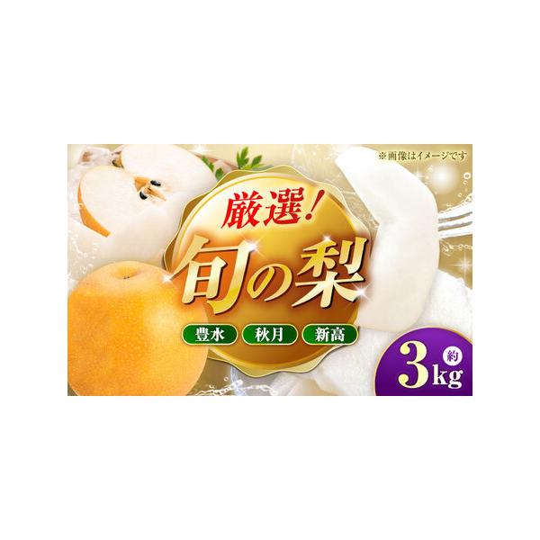 【先行予約】厳選おまかせ梨 約3kg 梨 豊水梨