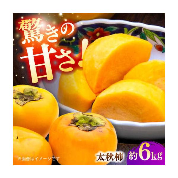 【先行予約】太秋柿 約6kg 柿 カキ フルーツ 果物 秋 【日本フルーツ株式会社】【ZFJ071】 熊本県山鹿市