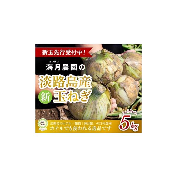 ■ 容量　淡路島産 新玉ねぎ 5kg×1ケース■ 配送について　6月1日頃〜6月30日頃まで順次発送します。　タイプ：【常温】