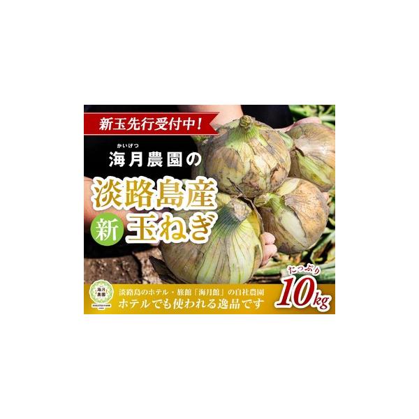 ■ 容量　淡路島産 新玉ねぎ 10kg×1ケース■ 配送について　6月1日頃〜6月30日頃まで順次発送します。　タイプ：【常温】