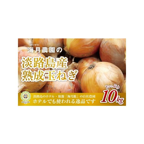■ 容量　淡路島産 玉ねぎ 10kg×1ケース■ 配送について　7月1日頃〜8月31日頃まで順次発送します。　タイプ：【常温】
