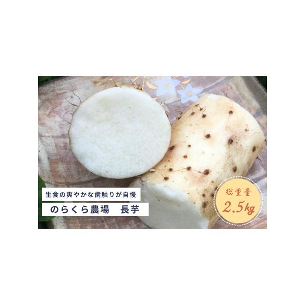 ■ 容量　長芋　2,5kg■ 配送について　4月〜12月上旬に申し込んだ場合：12月末までに発送　12月上旬〜12月末に申し込んだ場合：1月から順次発送　1月に申し込んだ場合:寄附から1ヶ月以内に発送　※年末年始は、発送が遅れる場合がありま...