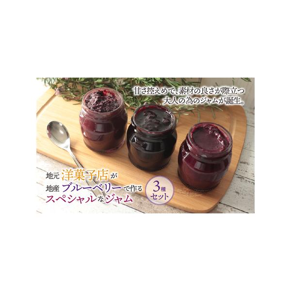 ■ 容量　ブルーベリージャム3瓶（1瓶100グラム）■ 配送について　寄附納入確認後、1ヶ月以内に発送します。　タイプ：【常温】