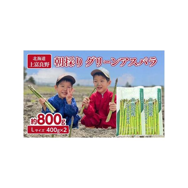 ■ 容量　グリーンアスパラ800g　サイズ：Lサイズ　　■心を込めてお届けいたします　上富良野町の大自然が育んだ、私たちのこだわりのアスパラガスをぜひご賞味ください。お届けするアスパラガスは、すべて手作業で丁寧に収穫したものです。食べた方が...