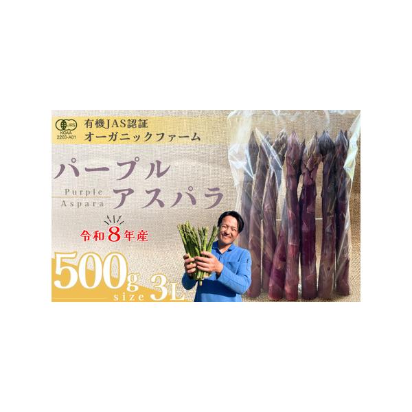■ 容量　オーガニック パープルアスパラガス  3L　500g　タイプ：【冷蔵】