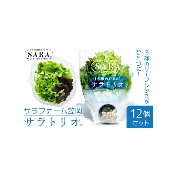 ■ 容量　12個■ 配送について　30日以内に出荷予定(土日祝を除く)　タイプ：【冷蔵】