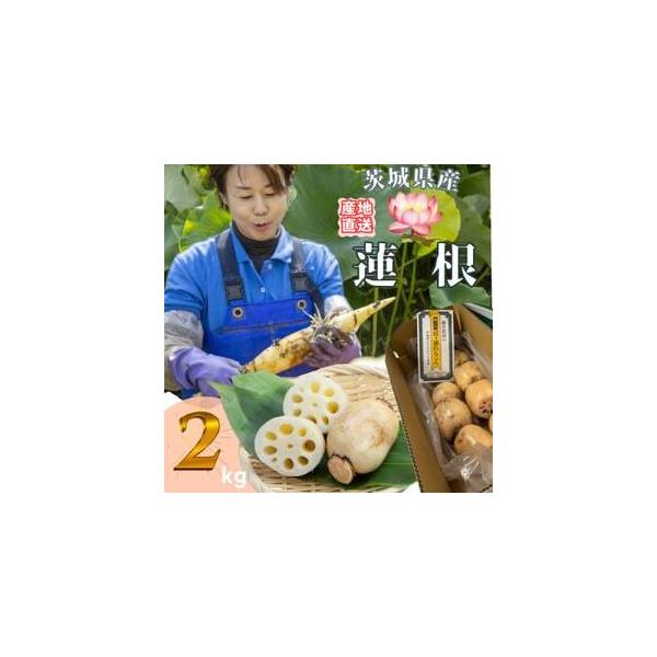 ■ 容量　※上記に記載■ 配送について　2025-12-12〜2026-03-31　タイプ：【冷蔵】