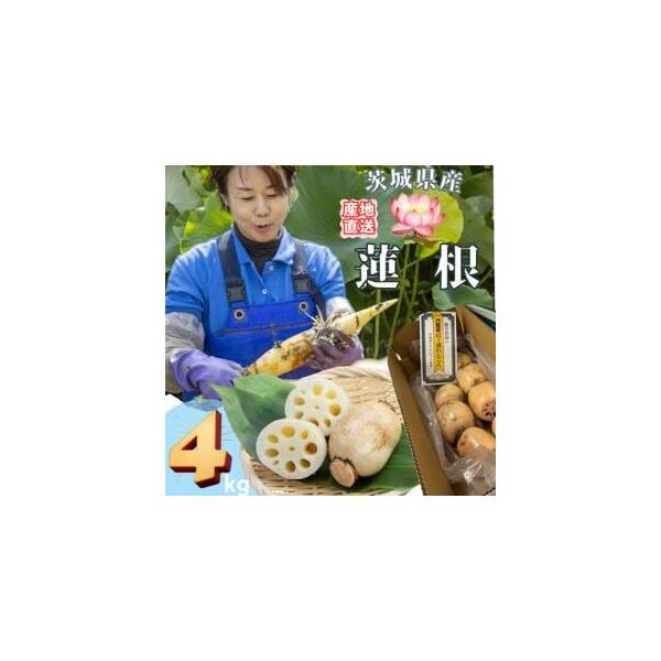 ■ 容量　※上記に記載■ 配送について　2025-12-23〜2026-03-30　タイプ：【冷蔵】