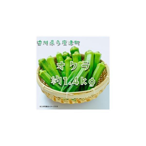 ■ 容量　オクラ約1.4kg（L〜Sサイズ）20ネットまたはバラ詰め　タイプ：【冷蔵】