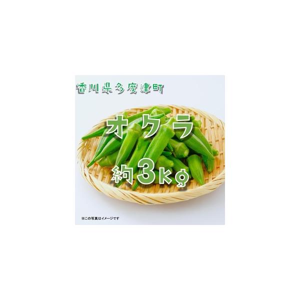 ■ 容量　オクラ約3kgバラ詰め（サイズおまかせ）　タイプ：【冷蔵】