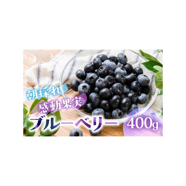 ■ 容量　100g×4パック　タイプ：【冷蔵】