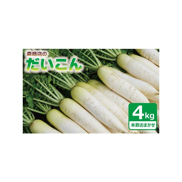 ■ 容量　大根 4kg（葉付き）　※本数はおまかせとなります。■ 配送について　 2025年12月〜2026年2月末頃まで　※天候等の影響により、発送期日が前後することがございます。ご了承ください。　※こちらの返礼品は配送日付け指定不可をな...