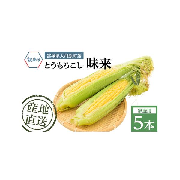■ 容量　とうもろこし 味来 家庭用 5本 訳アリ　■ 配送について　2026年7月中旬から8月下旬まで　　タイプ：【冷蔵】