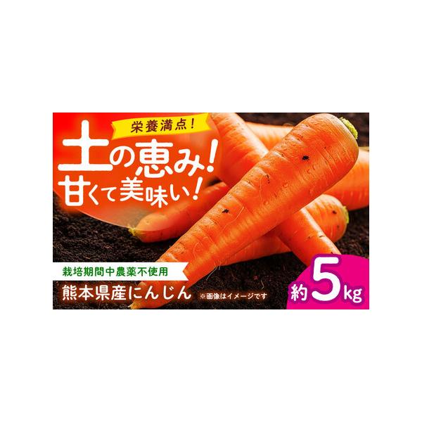 ■ 容量　にんじん 約5kg■ 配送について　ご入金確認後、【2026年】1月?【2026年】6月にかけて順次配送致します。　　＊本返礼品は先行受付品のため、発送期間を必ずご確認の上お申込みください。　＊返礼品の状況により、お届けまでに発送...