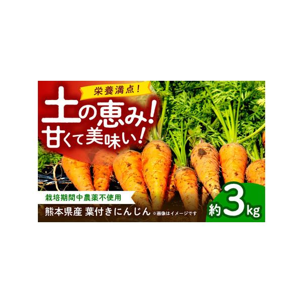 ■ 容量　にんじん 約3kg■ 配送について　ご入金確認後、【2026年】1月?【2026年】6月にかけて順次配送致します。　※配送時期により、冷蔵便と常温便どちらかでの配送となります。　　＊本返礼品は先行受付品のため、発送期間を必ずご確認...