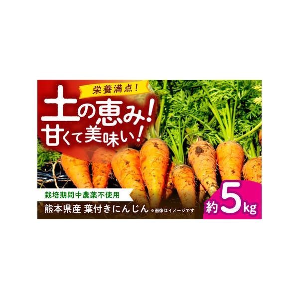 ■ 容量　にんじん 約5kg■ 配送について　ご入金確認後、【2026年】1月?【2026年】6月にかけて順次配送致します。　※配送時期により、冷蔵便と常温便どちらかでの配送となります。　　＊本返礼品は先行受付品のため、発送期間を必ずご確認...