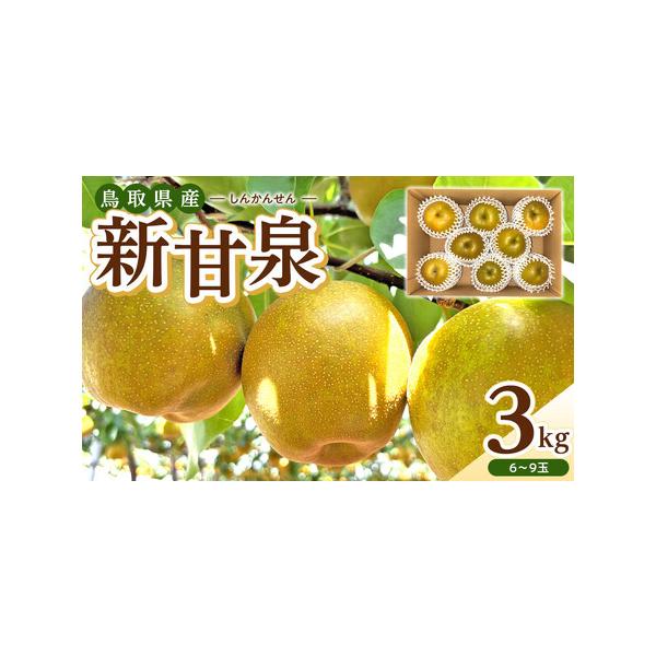 ■ 容量　新甘泉  3kg　原産国／製造国：日本　産地（都道府県）：鳥取　製造者：東商果樹園　鳥取県東伯郡北栄町六尾247-14　【賞味期限】　保存方法：常温■ 配送について　8月下旬より順次発送　【受付期間】　〜2026年8月31日　タイ...