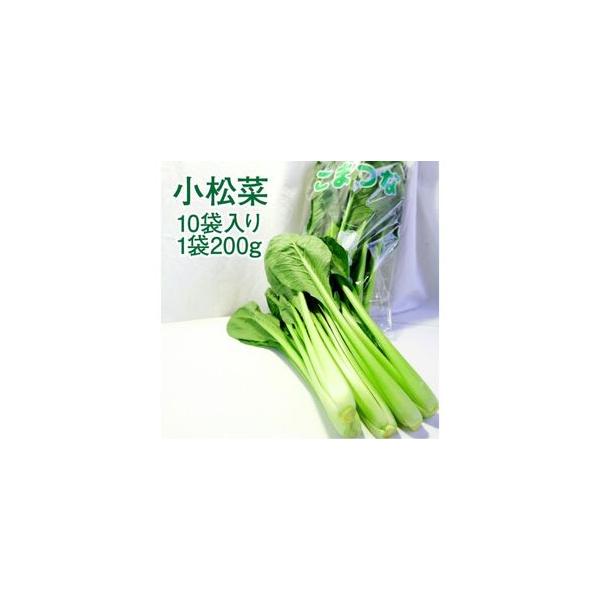 ■ 容量　小松菜 10袋入り 1袋200g 約2kg　生産地：静岡県浜松市　　タイプ：【冷蔵】