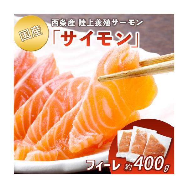 ふるさと納税 【国産サーモン】西条産陸上養殖サーモン「サイモン」冷凍フィーレ 約400g 愛媛県西条市