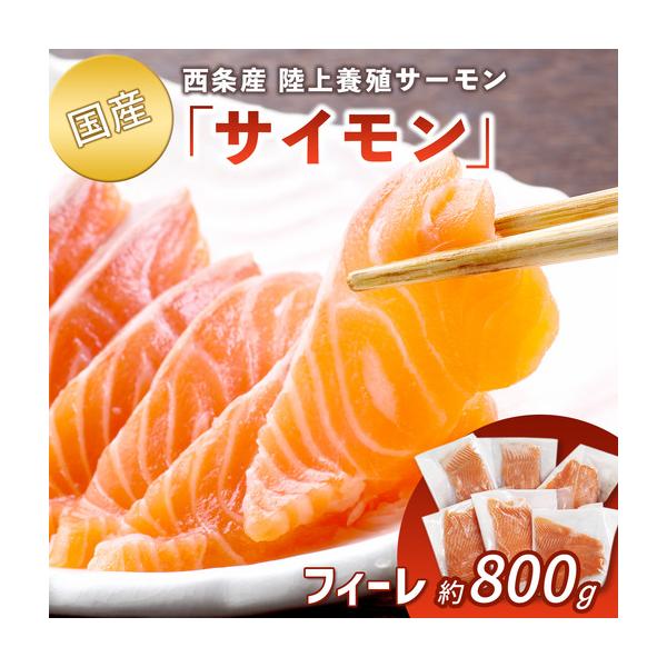 ふるさと納税 【国産サーモン】西条産陸上養殖サーモン「サイモン」冷凍フィーレ 約800g 愛媛県西条市