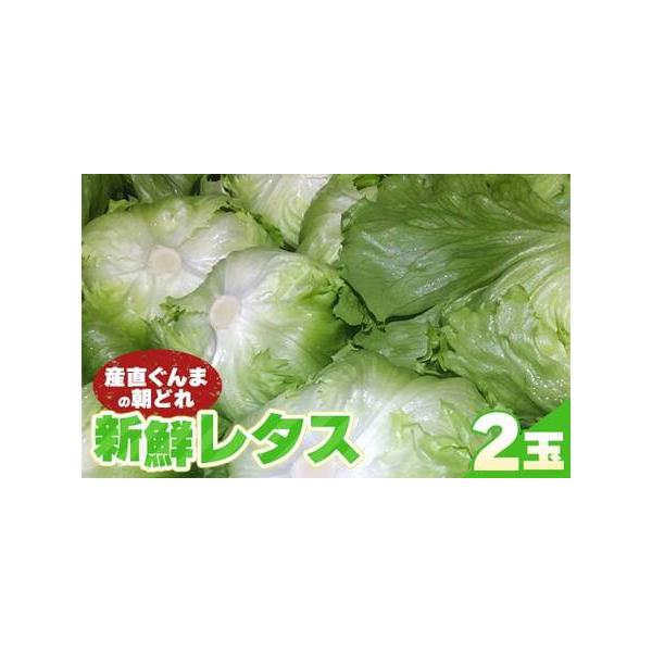 ■ 容量　300g以上×2個■ 配送について　2026年4月下旬から5月下旬頃　申込順に順次発送　タイプ：【冷蔵】