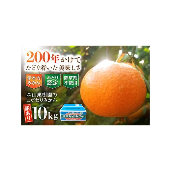 ふるさと納税 【訳あり】伊木力産 森山果樹園のこだわりみかん 10kg