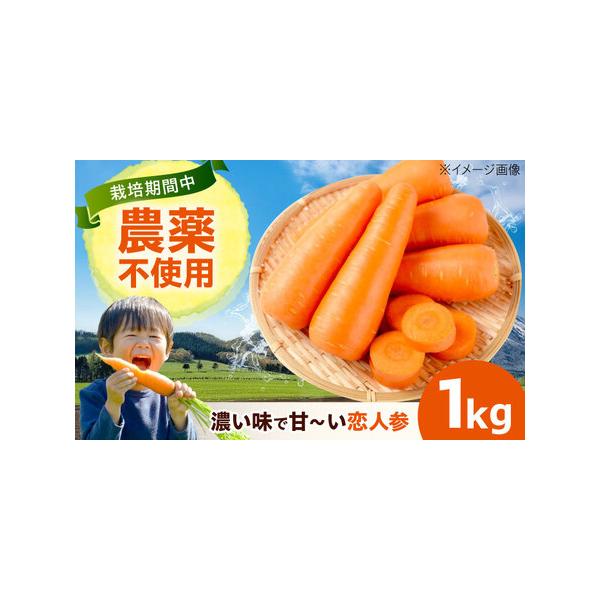 ■ 容量　人参 1kg　【原料原産地】　広島県福山市　■ 配送について　決済から2週間程度で発送　タイプ：【常温】