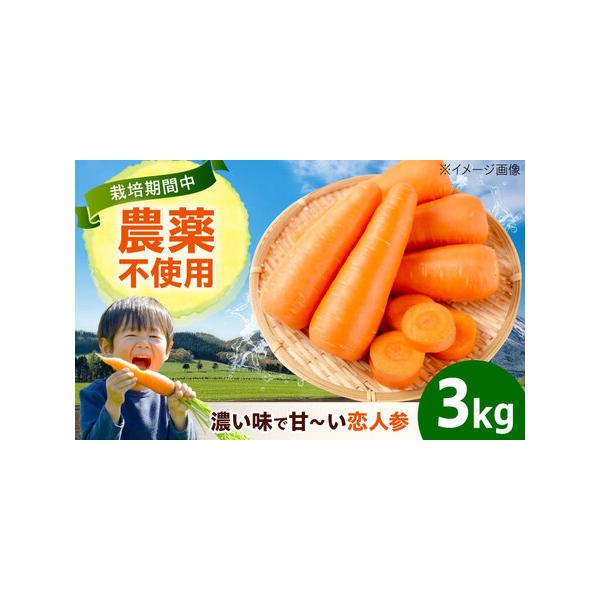 ■ 容量　人参 3kg　【原料原産地】　広島県福山市　■ 配送について　決済から2週間程度で発送　タイプ：【常温】