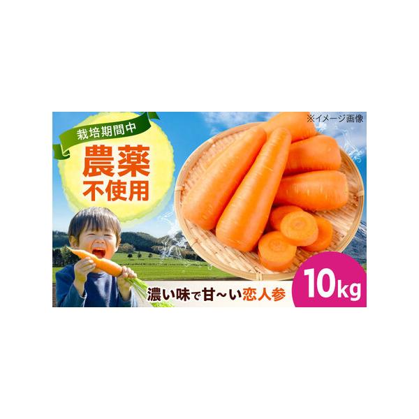 ■ 容量　人参 10kg　【原料原産地】　広島県福山市　■ 配送について　決済から2週間程度で発送　タイプ：【常温】