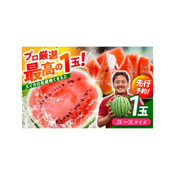 ■ 容量　2L〜3Lサイズ（約7kg〜9kg） 1玉　※サイズはお選びいただけません。■ 配送について　ご入金確認後、【2026年】4月末〜6月中旬にかけて順次発送いたします。　　＊本返礼品は先行受付品のため、発送期間を必ずご確認の上お申込...