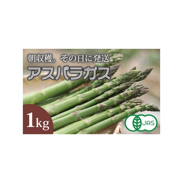 ■ 容量　1キログラム■ 配送について　2026年4月上旬〜5月上旬　※生もののため、天候によっては発送時期が前後することがあります。　※日によって個数に限りがあることから、準備ができ次第発送します。　※賞味期限　3-4日（冷蔵保存）