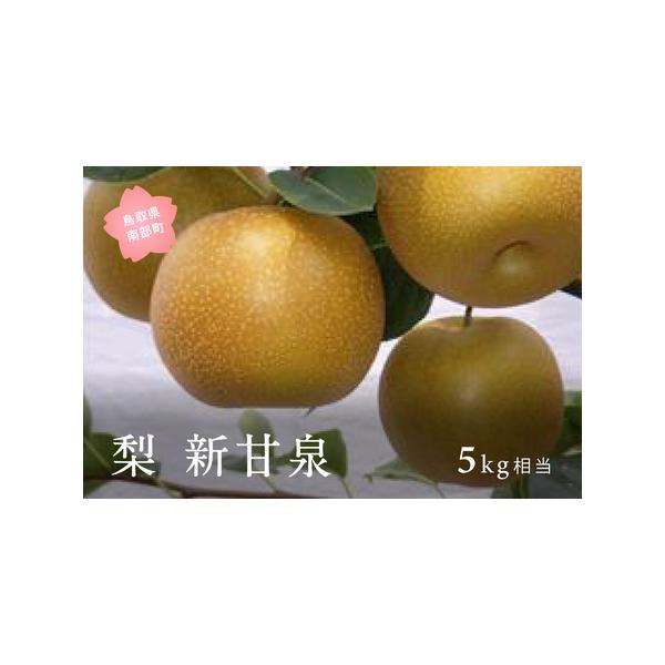 ■ 容量　5kg相当　※玉数・大きさのの指定は出来かねます。■ 配送について　2026年8月下旬〜9月上旬予定　事前にメールにて出荷予定のご案内をいたします。　　※ご注意ください※　・寄附者様都合にてお受け取りいただけなかった場合、再送対応...