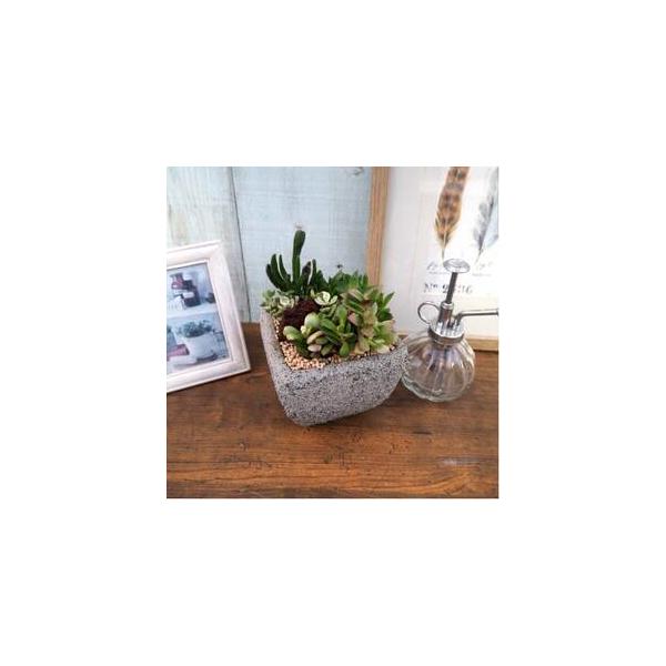 ■ 容量　※上記に記載■ 配送について　お申込みから1〜2週間程度で順次発送　タイプ：【常温】