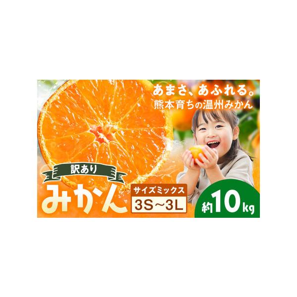 訳あり 温州みかん サイズミックス 3S 〜 3L 約10kg 日本フルーツ株式会社《10月中旬-2月下旬頃出荷》熊本県 荒尾市 みかん 温州み.. 熊本県荒尾市