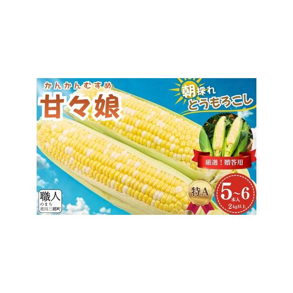 ■ 容量　【容量】　甘々娘（とうもろこし）　5〜6本入り　2kg以上　　【賞味期限】　ご到着後お早めにお召し上がりください。■ 配送について　2026年6月中旬から順次発送予定　　！！必ずお読みください！！　★以下の注意事項を必ずお読みいた...