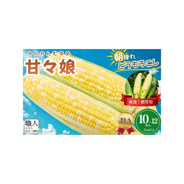 ■ 容量　【容量】　甘々娘（とうもろこし）　10〜12本入り　4kg以上　　【賞味期限】　ご到着後お早めにお召し上がりください。■ 配送について　2026年6月中旬から順次発送予定　　！！必ずお読みください！！　★以下の注意事項を必ずお読み...