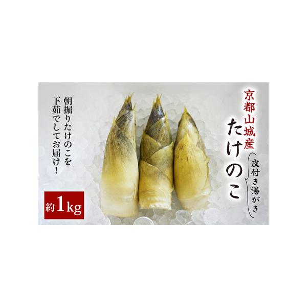 ■ 容量　約1kg（2〜3本 ）　皮付き・湯がき済み　　【到着後はすぐに皮を剥き、保存容器で水に浸した状態で冷蔵庫に入れてください。目安として2〜3日以内にお召し上がりください。】■ 配送について　4月上旬頃から順次発送予定。　※発送日の指...