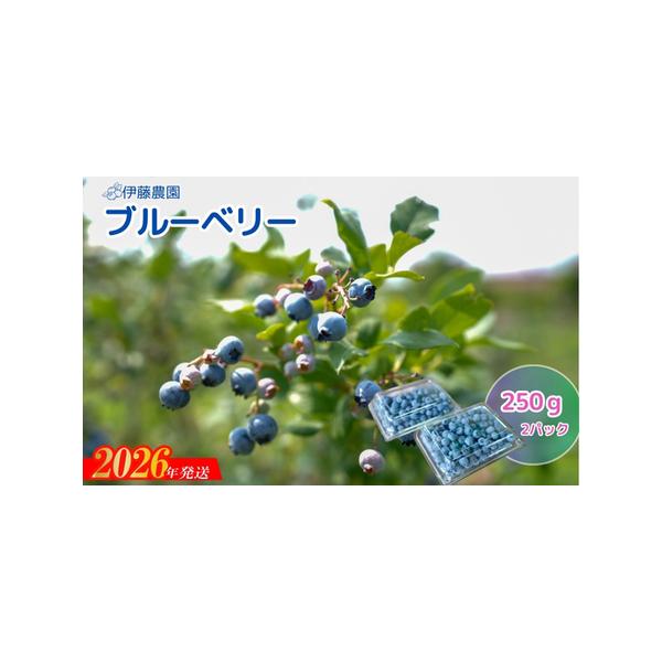 ■ 容量　約250ｇ×2パック■ 配送について　発送期日：2026年6月下旬から2026年7月上旬発送予定　タイプ：【冷蔵】