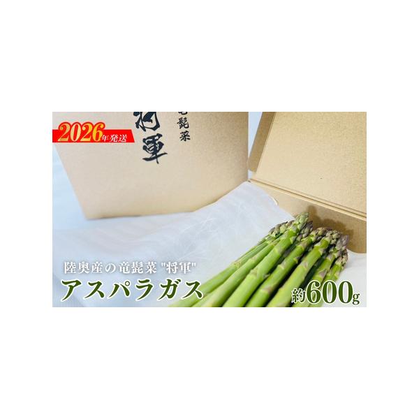 ■ 容量　総容量 約600g■ 配送について　発送期日：2026年3月中旬から2026年9月下旬発送予定　タイプ：【冷蔵】