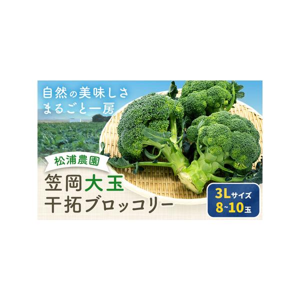 ■ 容量　3Lサイズ 8?10玉■ 配送について　12月上旬-5月中旬頃出荷　タイプ：【常温】