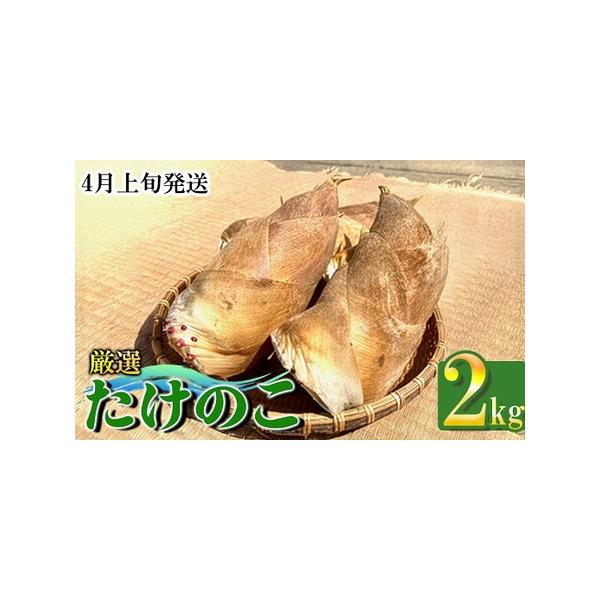 ■ 容量　【容量】　生たけのこ 2kg■ 配送について　4月上旬から順次発送　タイプ：【冷蔵】