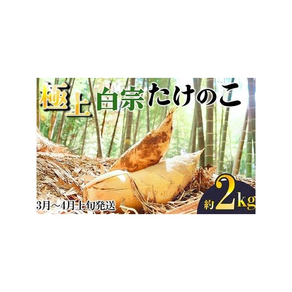 ■ 容量　【容量】　厳選 生たけのこ 2kg■ 配送について　3月?4月上旬発送　タイプ：【冷蔵】
