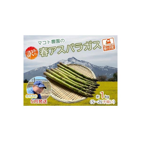■ 容量　春芽グリーンアスパラガス 約1kg(35本前後）、S〜2Lサイズ不揃い規格外品　■ 配送について　2026年5月10日〜2026年6月10日　　タイプ：【冷蔵】