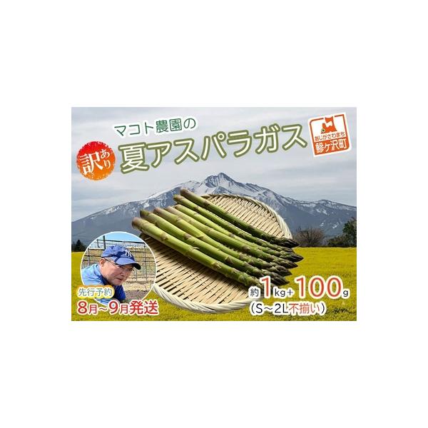 ■ 容量　夏芽グリーンアスパラガス 約1kg＋100g（40本前後）、S〜2Lサイズ不揃い規格外品　■ 配送について　2026年8月1日〜2026年9月10日　　タイプ：【冷蔵】
