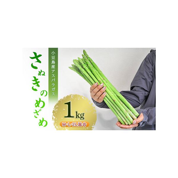 ■ 容量　小豆島産アスパラガス「さぬきのめざめ」M、L、2L混合1kg　　※農産物など一次産品または区域内で製造・加工　■ 配送について　2026年4月以降発送開始　　タイプ：【冷蔵】