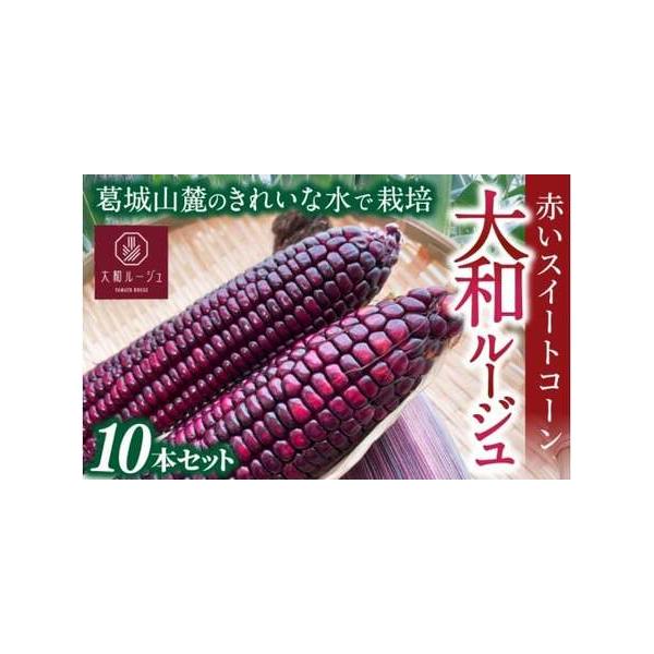 ■ 容量　【容量】　計10本　　【賞味期限】　【賞味期限】　出荷日から４日間　　【保存方法】　到着後は冷蔵で保存し、できるだけお早めにお召し上がりください。■ 配送について　2026年7月中旬〜10月中旬順次発送　　※受取日の指定は対応出来...