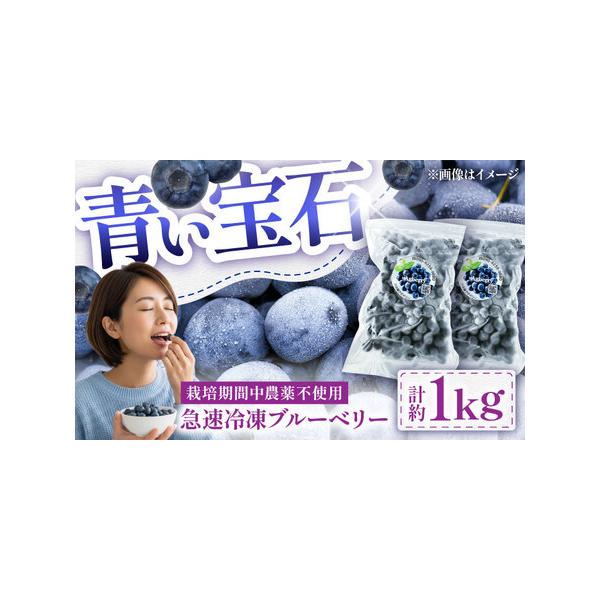 ■ 容量　青い宝石 急速冷凍ブルーベリー計約1kg（約500g×2袋）　【加工地】　熊本県菊池郡　■ 配送について　ご入金確認後、2週間以内に発送いたします。　年末年始（12月・1月）は、ご入金確認後、1ヶ月以内に発送いたします。　※天候や...